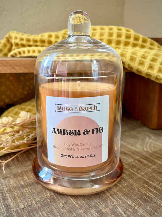 Amber & Fig 11oz Cloche Candle