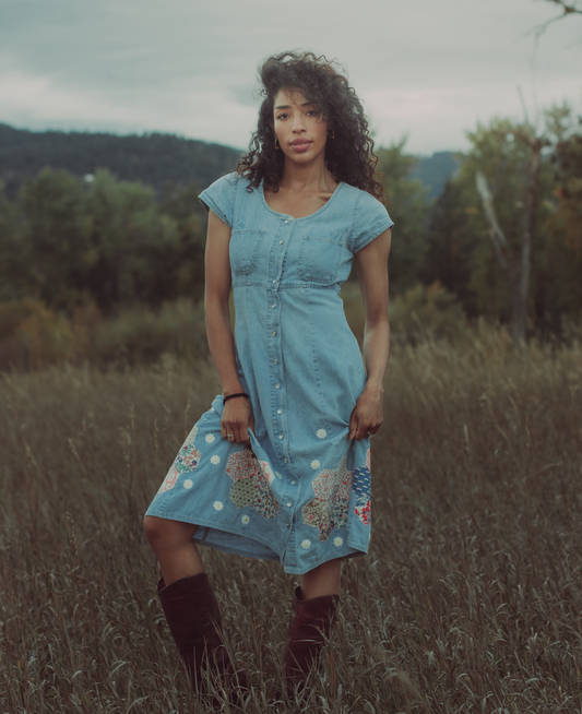 Daydream Daisy Denim Midi Dress - Small
