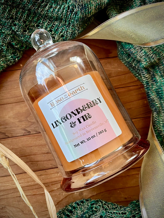 Lingonberry & Fir 11oz Cloche Candle