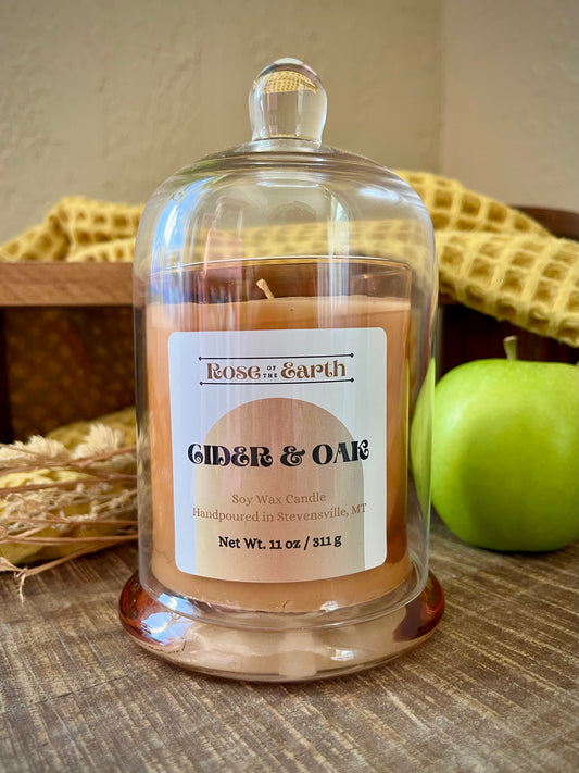 Cider & Oak 11oz Cloche Candle