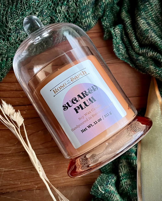 Sugared Plum 11oz Cloche Candle